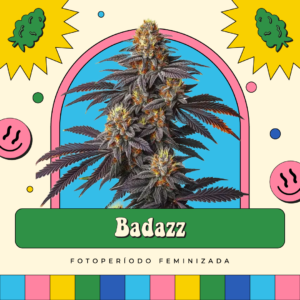 Badazz - Fotoperíodo