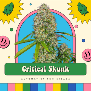 Critical Skunk - Automática
