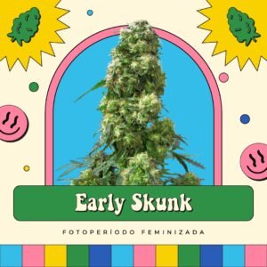 Early Skunk - Fotoperíodo