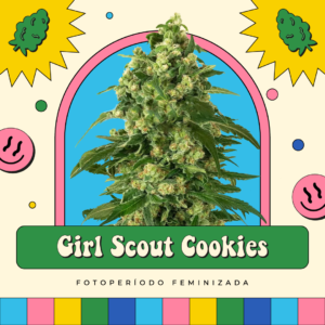 Girl Scout Cookies - Fotoperíodo