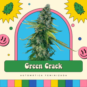 Green Crack - Automática