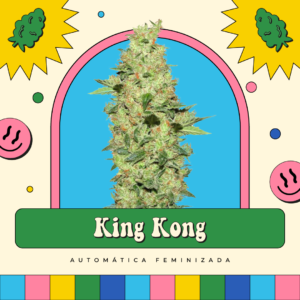King Kong - Automática