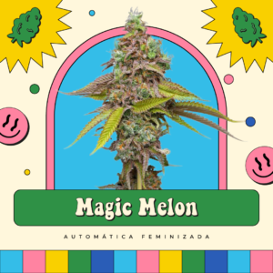 Magic Melon - Automática