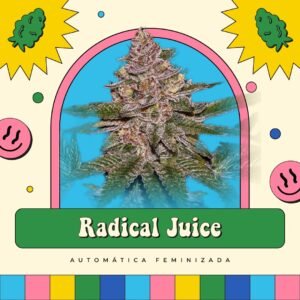 Radical Juice - Automática