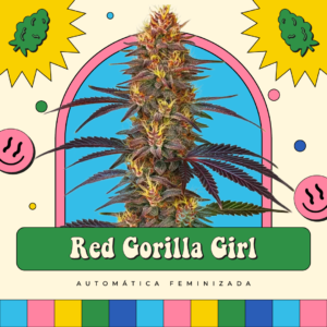 Red Gorilla Girl - Automática