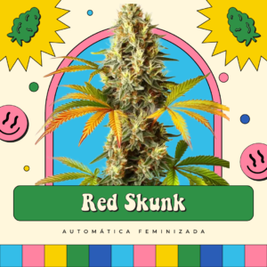 Red Skunk - Automática