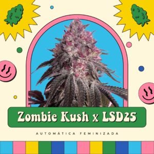 Zombie Kush x LSD25 - Automática